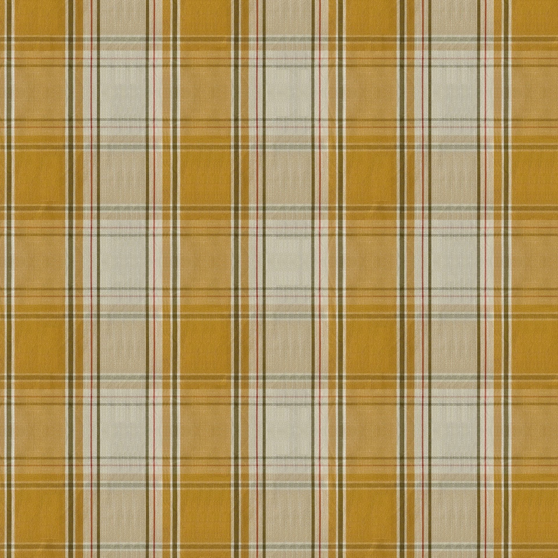 Mid weight Tartan Check Fabric Cotton Saffron Gold AR460052