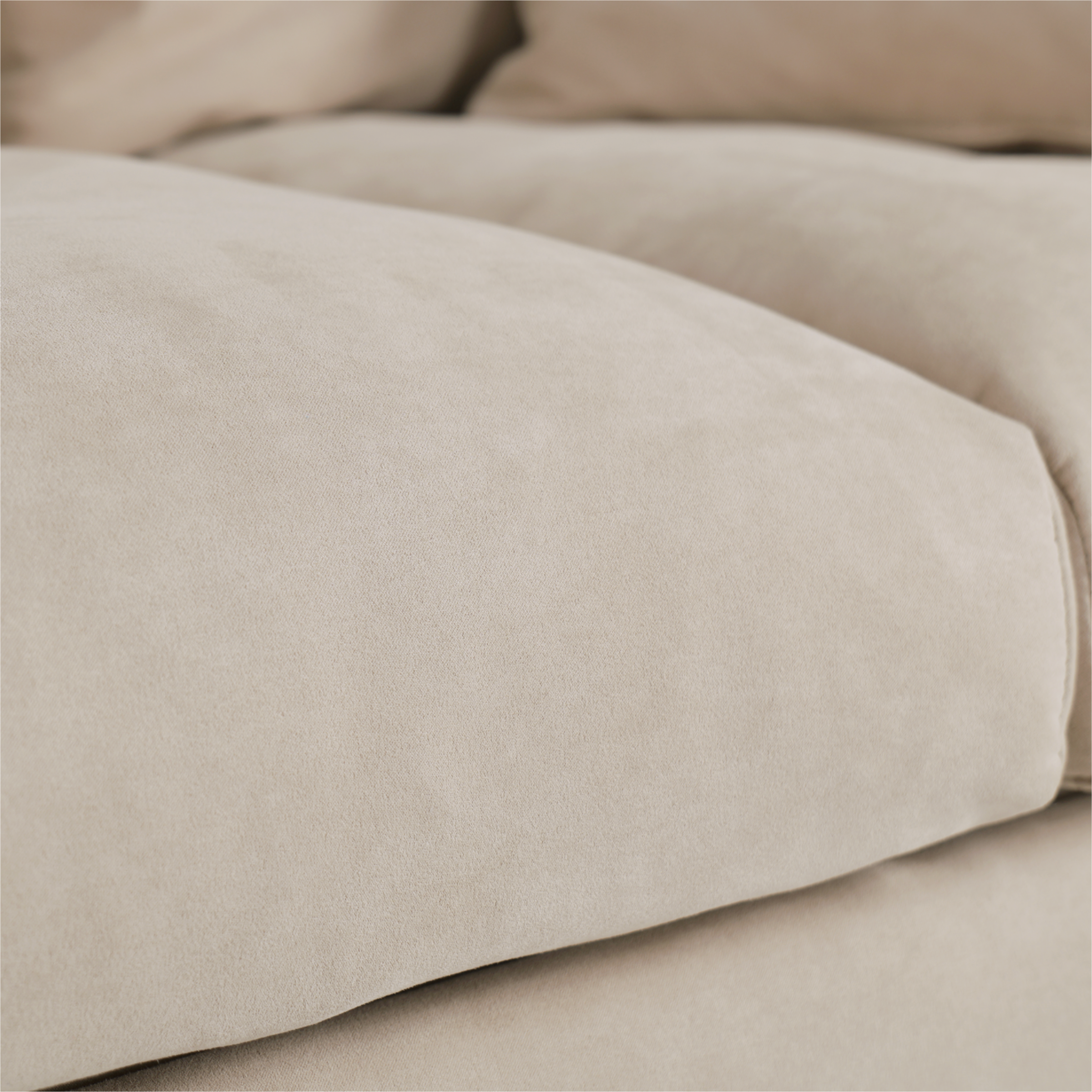 #Colour_Beige